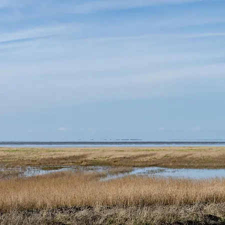 Ostfriesland شقة