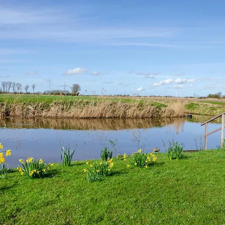 Ostfriesland * Krummhoern