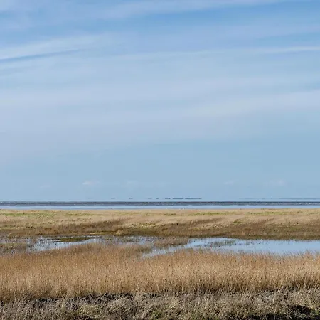 شقة Ostfriesland
